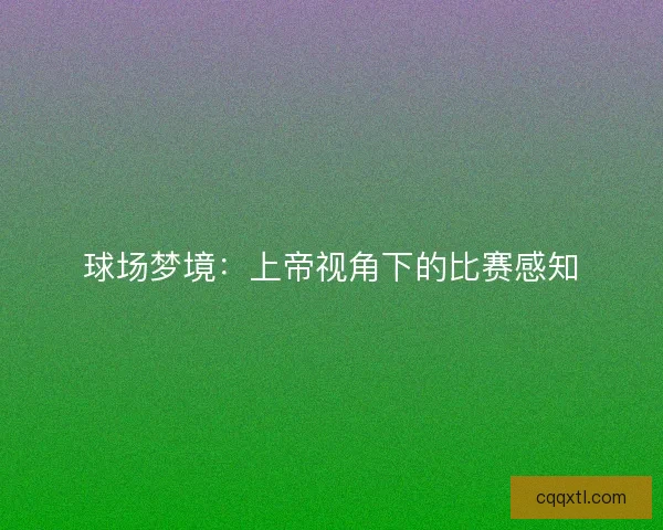 球场梦境：上帝视角下的比赛感知