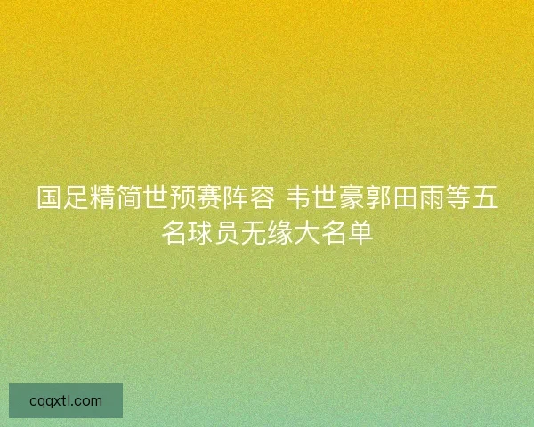 国足精简世预赛阵容 韦世豪郭田雨等五名球员无缘大名单