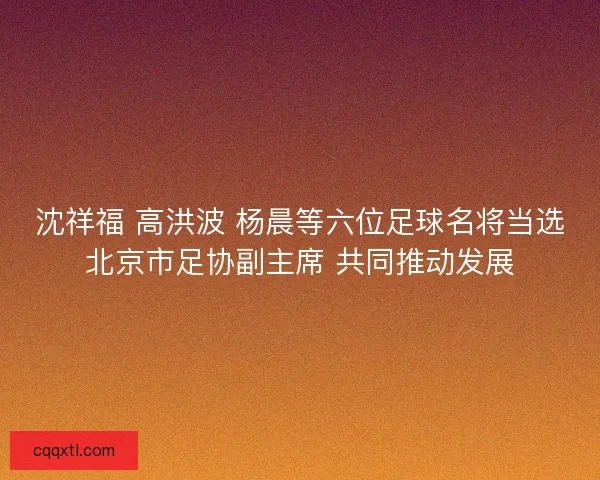 沈祥福 高洪波 杨晨等六位足球名将当选北京市足协副主席 共同推动发展 沈祥福 高洪波 杨晨等六位足球名将当选北京市足协副主席 共同推动发展