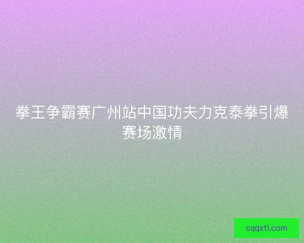拳王争霸赛广州站中国功夫力克泰拳引爆赛场激情